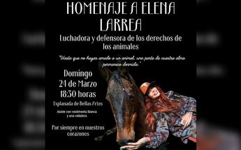 Convocatoria del homenaje a Elena Larrea en Bellas Artes en CdMx | Especial