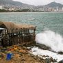 Mayela Sáenz