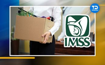 Cómo tramitar el seguro de desempleo del IMSS | Antonio Texta