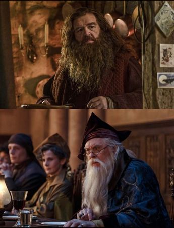 Hagrid y Albus Dumbledore tienen su vistazo mas extendido en el segundo trailer. \ HBO Instagram