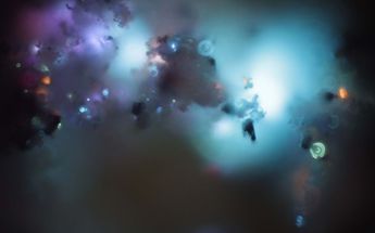 Las cenizas arrojaron una especie de galaxia / Gabriela Reyez Fuchs.