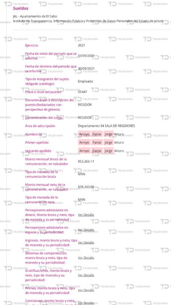 Documentos obtenidos vía transparencia del gobierno de El Salto | Telediario