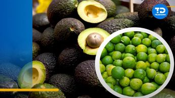 Precio del aguacate y limón aumenta en Nuevo León