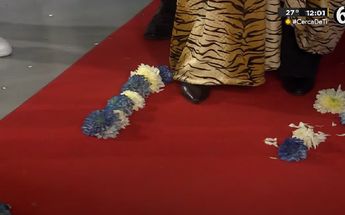 Lic. María Julia celebra triunfo de Tigres con Luis Carlos Ortiz | Especial