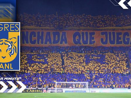 Entérate de las últimas noticias de Tigres HOY 12 de diciembre. / Especial