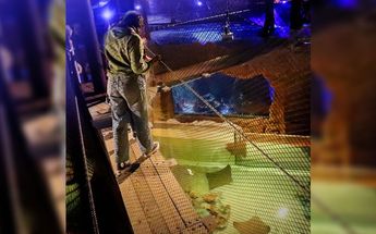 Acuario en Monterrey 2024 | Especial