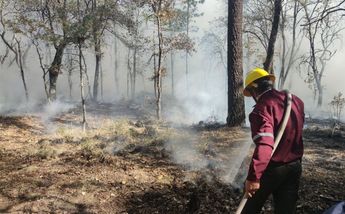 Se han registrado al menos 45 incendios forestales en la entidad / Guadalupe Trejo
