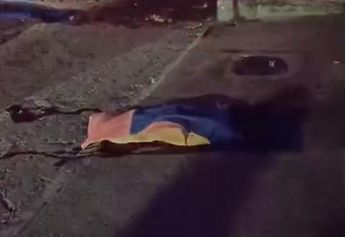 La perrita quedó gravemente herida y agonizante, hasta que finalmente murió debido a la gravedad de sus heridas