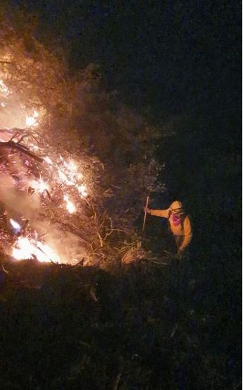Cuerpos de auxilio reiniciaron labores a primera hora del sábado. | Protección Civil de Nuevo León