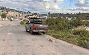 El perrito fue arrastrado sobre Boulevard Luis Donaldo Colosio, en la Colonia El Paraíso, en Tulancingo / Cortesía