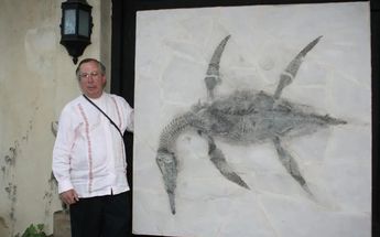 En febrero de 2017, Fernández Garza presentó los restos descubiertos de este reptil marino en 28 piezas de roca
