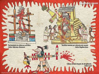 Sacrificios humanos durante el México prehispánico / Cortesía UNAM