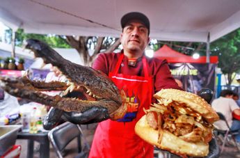 La cemita de cocodrilo combina el antojito tradicional con lo exótico de las carnes animales / Melanie Torres