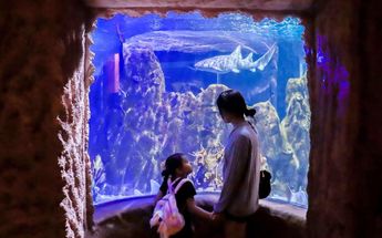Acuario en Monterrey 2024 | Especial