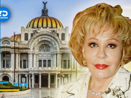 Silvia Pinal recibirá un homenaje póstumo en Bellas Artes | Especial