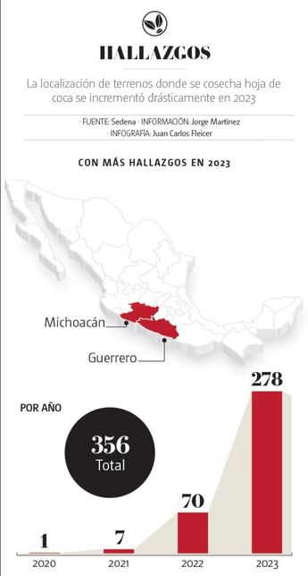 Hallazgos de plantíos de coca. | Cortesía