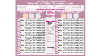 Magistraturas de Circuito / Especial