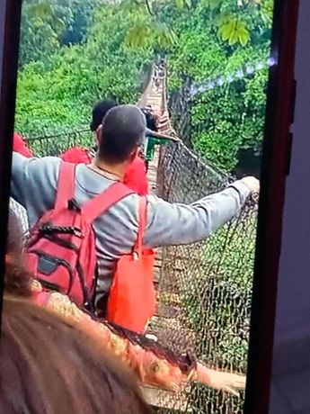 Los migrantes incursionaron por la selva guatemalteca antes de llegar a Chiapas. | Carlos Ortega