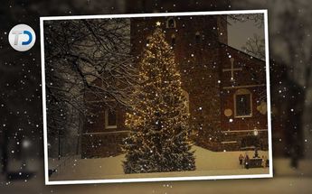 Origen del árbol de Navidad / Antonio Texta y Pixabay