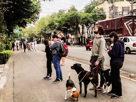 Los capitalinos, junto con sus mascotas, salen a las calles tras escuchar la Alerta Sísmica | Cuartoscuro