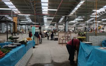 Mercado de San Cosme / Miguel Sarmiento