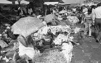 Mercado de Jamaica CdMx / Fototeca Milenio