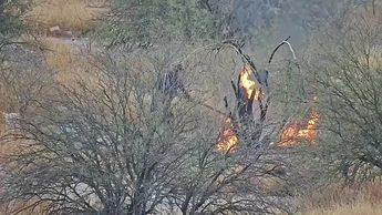 ¿Piromanos? Capturan a menor y a un adulto tras persecución por prender fuego en carretera a Mieleras