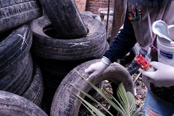 Los reportes de la SSJ apuntan a que existen un total de 102 casos de dengue en el estado | Secretaría de Salud Jalisco