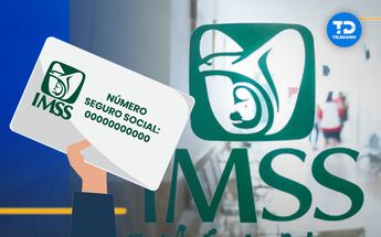 Qué hago si no recuerdo mi número del IMSS/ Especial