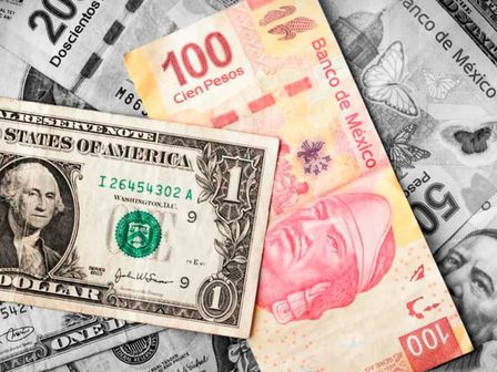 El pasado viernes, el dólar superó las 18.40 unidades | Freepik