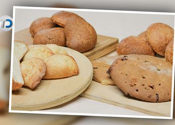 Al pan de pulque se le conocía también como pan de fiesta o pan de burro./ Antonio Texta