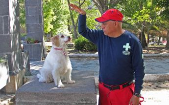 'Canela' está en nivel de prospecto etapa preparativa en la Cruz Roja Puebla / Melanie Torres