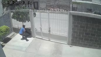 Fuentes del Sur: Captan a sujeto robando pantalla de vivienda