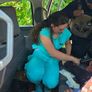 Telediario Laguna