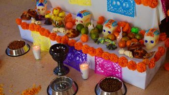 En el altar para perritos o gatitos se pueden colocar sus juguetes favoritos | Es Imagen