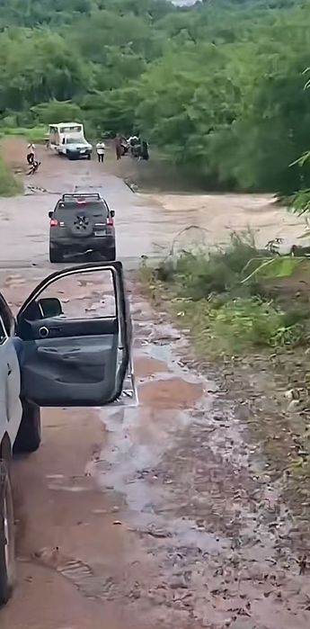 Los videos de los tiktokers tienen millones de reacciones