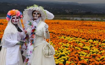 Dos catrinas posan en un sembradío de Chempazúchiles/ Araceli López