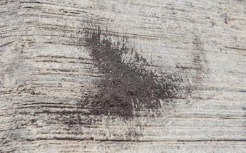 Ceniza del Volcán Popocatépetl | Agencia Es Imagen