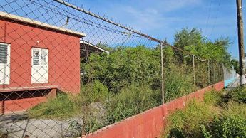 Escuela en Escobedo, Nuevo León, tiene hierba crecida