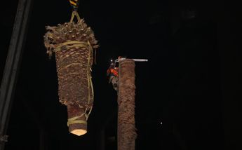 Se utilizaron sierras para retirar la palmera de La Glorita de la Palma/ Javier Ríos