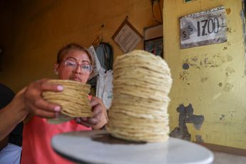 Al no contar con licencia de funcionamiento, las tortillerías pueden vender a costos más bajos por incumplir con obligaciones con el Estado / EsImagen
