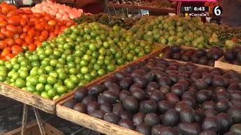 Baja el precio de la canasta básica en NL