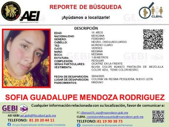 Ficha de búsqueda de Sofía Guadalupe Mendoza Rodríguez. | Cortesía