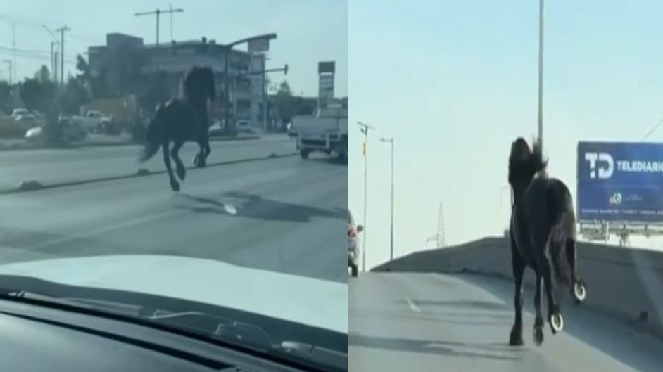 Monterrey vivió una postal tan surrealista que muchos dudaron si era real | Especial