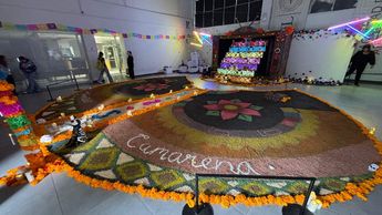 El montaje duró varias semanas en la Facultad de Artes Visuales. | Fabricio Gallegos