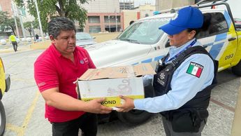 Los patitos fueron colocados en una caja de cartón | Especial