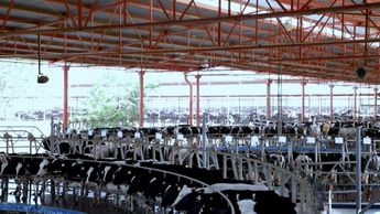 La leche mexicana no sólo es un pilar fundamental en la dieta e identidad nutricional, sino también un motor económico y social
