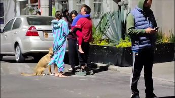 Capitalinos salen de sus casas tras activación de alerta sísmica