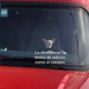 Publicación de Thais Ronquillo sobre imprudencia al volante