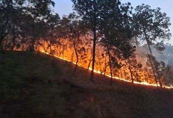 Incendio forestal en San Simón de Guerrero | @Probosque_